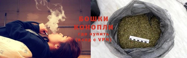 ПСИЛОЦИБИНОВЫЕ ГРИБЫ Аркадак