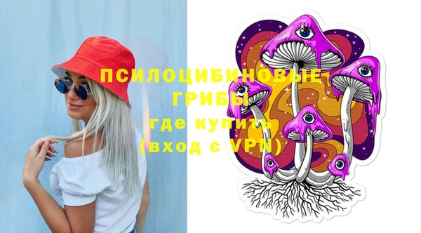 ГАЛЛЮЦИНОГЕННЫЕ ГРИБЫ Армянск