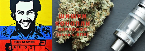 ПСИЛОЦИБИНОВЫЕ ГРИБЫ Аркадак